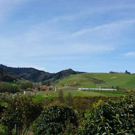 Ferienwohnung Anna Durbach Exterior foto